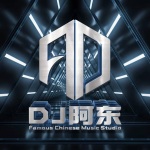 北流Dj阿东车载音乐