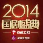 2014安徽卫视国剧盛典