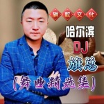 哈尔滨DJ旗总舞曲精选集