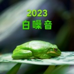 2023 白噪音: 让深度放松的大自然声音和白噪音，下雨声，海洋波浪，森林，小鸟歌曲，适合睡眠、冥想、放松的音乐