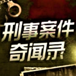 《刑事案件奇闻录》大案要案 反特案件