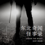 东北奇闻怪事录