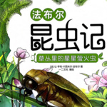 法布尔昆虫记 | 自然科普 | 带孩子领略昆虫的世界 | 绘本读物