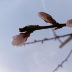 深夜静静听那些触动心灵的文字