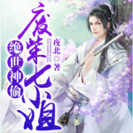 绝世神偷：废柴七小姐