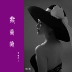 紫蔷薇 (DJ沈念版)