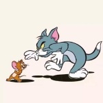 爆笑｜猫和老鼠动画片