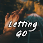 LettingGo(0.8x)