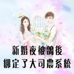 新婚夜被鸽后我绑定了大司农系统