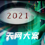 天网大案2021