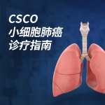 癌症有指南-中国临床肿瘤学会CSCO（2021）小细胞肺癌诊疗指南