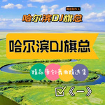 哈尔滨DJ旗总(精品原创舞曲精选集)《一》