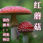 《红蘑菇》|张洁