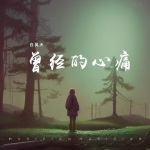 《曾经的心痛原声版》