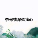 001-对她的惩罚