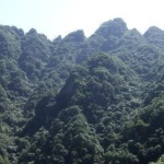 鸡峰山景区