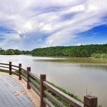 广州-南沙湿地公园
