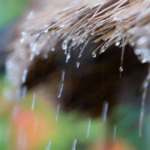 大雨 助眠减压