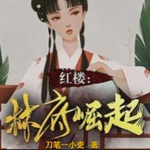 林府崛起