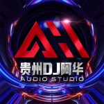 DJ中文舞曲专辑