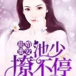 甜婚蜜爱：池少，撩不停