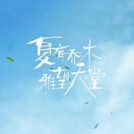 夏有乔木：雅望天堂（全集）丨同名影视剧原著丨刘亦菲主演