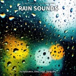 #1 Rain Sounds for Relaxation, Sleep, Yoga, Tranquility