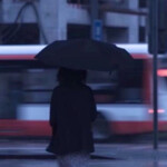 夜色渐沉｜该回家了