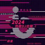 2024热歌DJ合辑-I