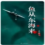 鱼从东海来 | 惊悚悬疑