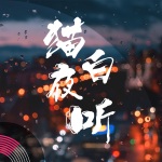 猫白夜听|深夜疗愈播客