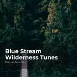 Blue Stream Wilderness Tunes
