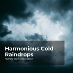 Harmonious Cold Raindrops