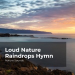 Loud Nature Raindrops Hymn