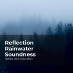 Reflection Rainwater Soundness