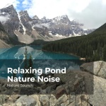 Relaxing Pond Nature Noise