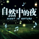 自然中的夜