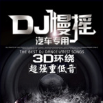 中文单曲DJ车载音乐²
