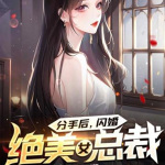 分手后，闪婚绝美女总裁