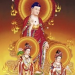 学佛
