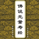 佛说无量寿经_曹魏康僧铠译