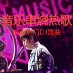 串烧热歌精选 抖音热门DJ舞曲