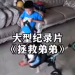 大型纪录片合集|沙雕搞笑