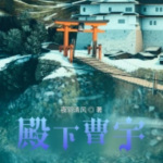 三国之殿下曹宇