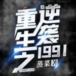 重生之逆袭1991