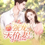 90年代：强宠天价妻|豪门高甜甜宠爽文|契婚后爱|霸总护妻