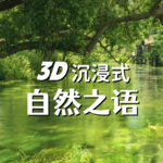 自然声催眠超好睡[3D沉浸式]