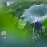 睡前听雨-治愈助眠