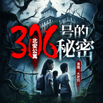 北安公寓306号的秘密 第001集