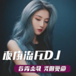 抖音快手最好2024DJ车载